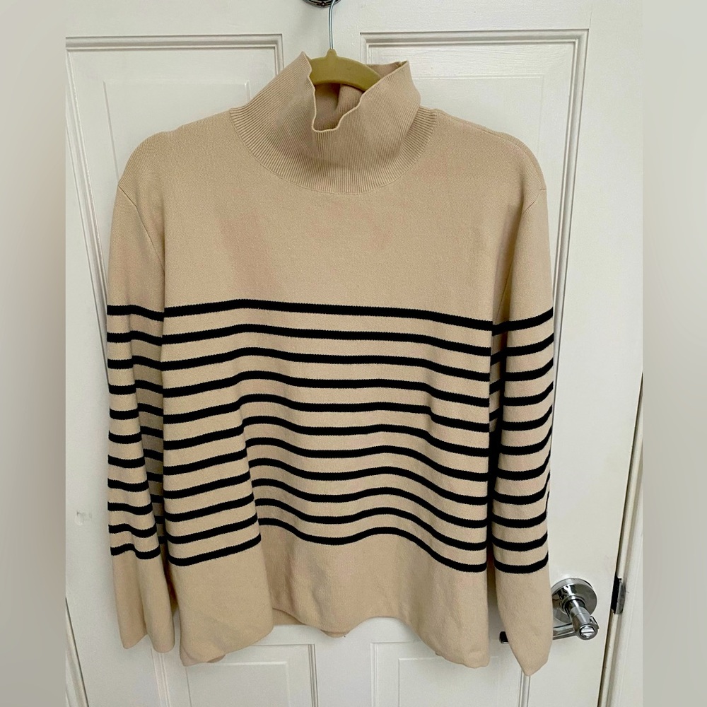 H&M striped turtleneck sweater
